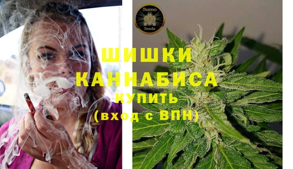 хмурый Белокуриха