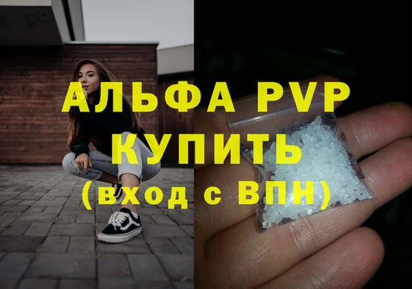 PSILOCYBIN Покачи