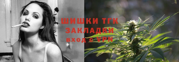 хмурый Белокуриха
