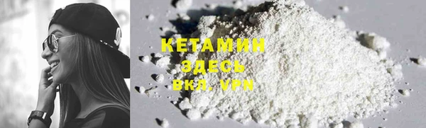 хмурый Белокуриха