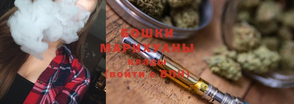 хмурый Белокуриха