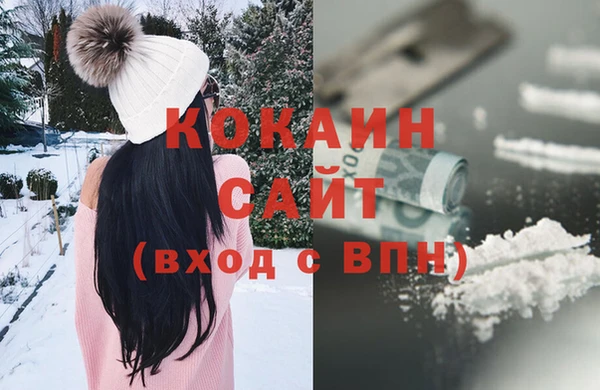 хмурый Белокуриха