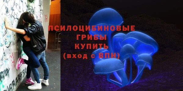 spice Покров