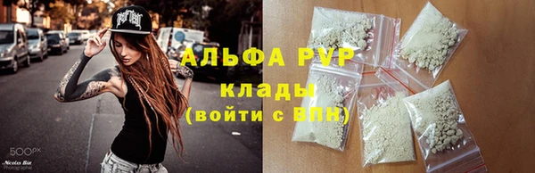 PSILOCYBIN Покачи