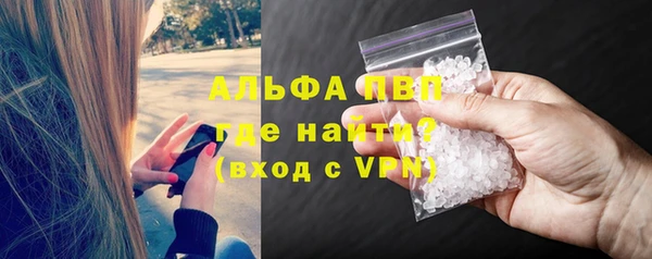 хмурый Белокуриха