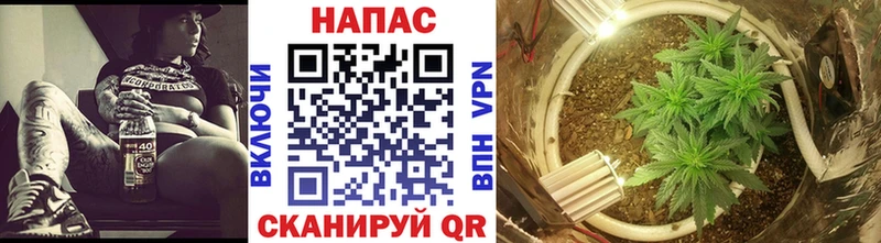 Шишки марихуана Amnesia  даркнет сайт  Чекалин 